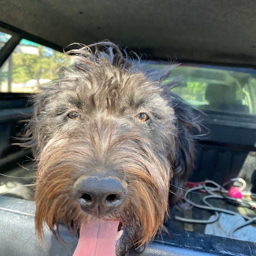 Meet your Posher, Melanie